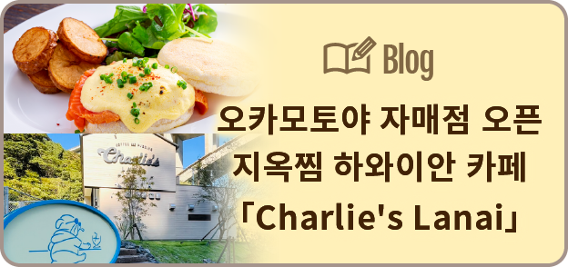 주임 블로그