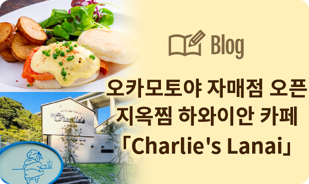 주임 블로그